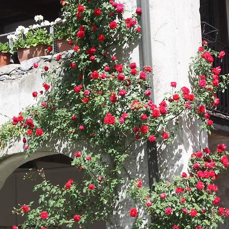 Affittacamere Casa Archi Losone Dış mekan fotoğraf