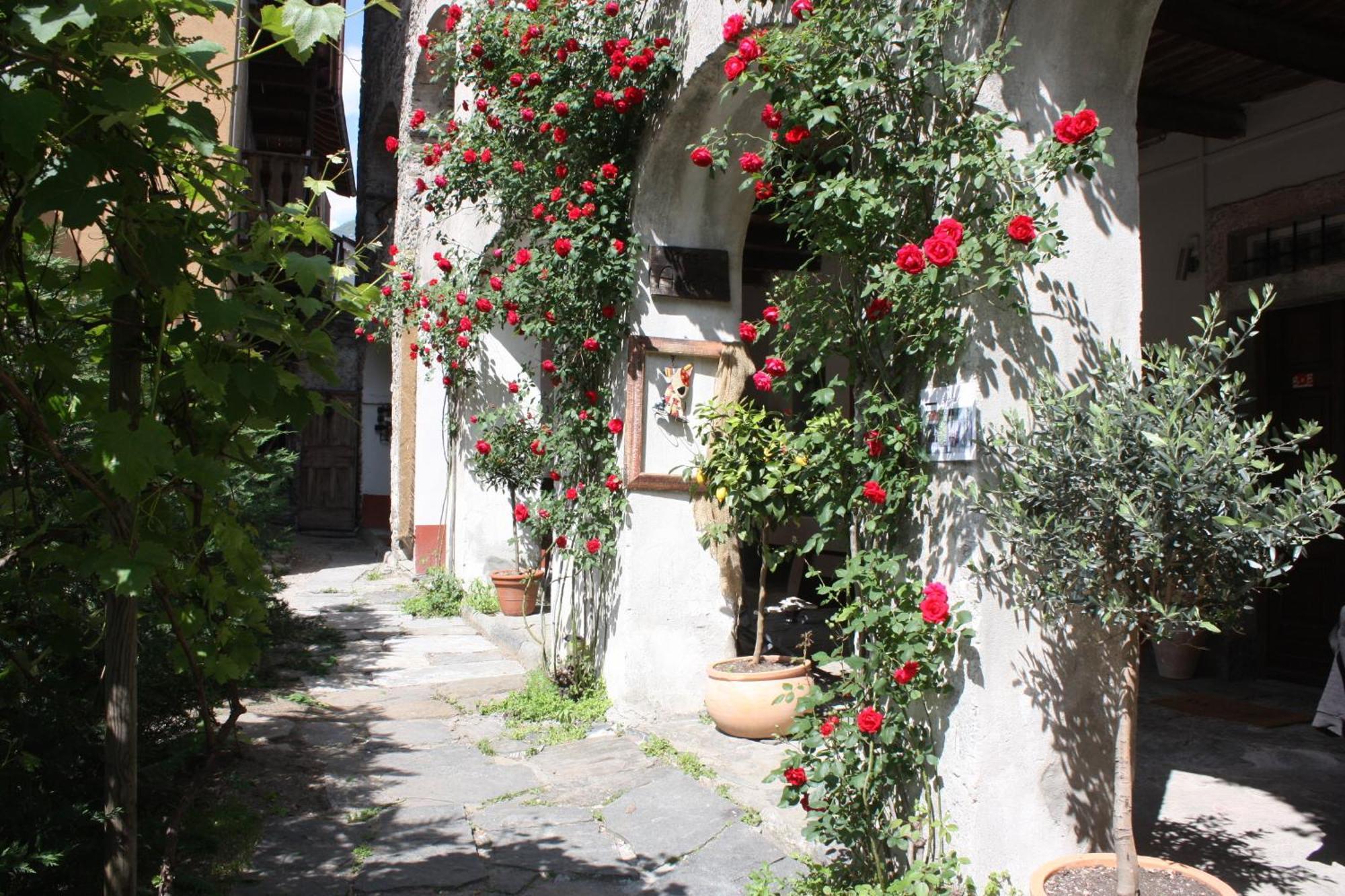 Affittacamere Casa Archi Losone Dış mekan fotoğraf