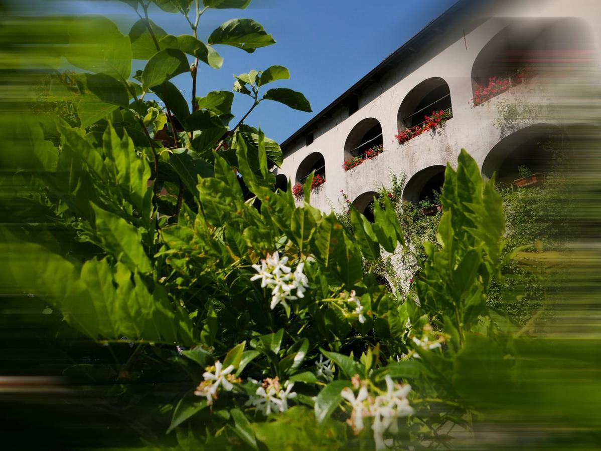 Affittacamere Casa Archi Losone Dış mekan fotoğraf